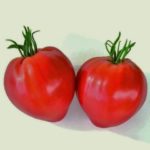 pomodoro cuoricino