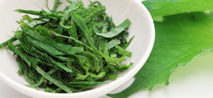 tisana-shiso-basilico-giapponese.jpg